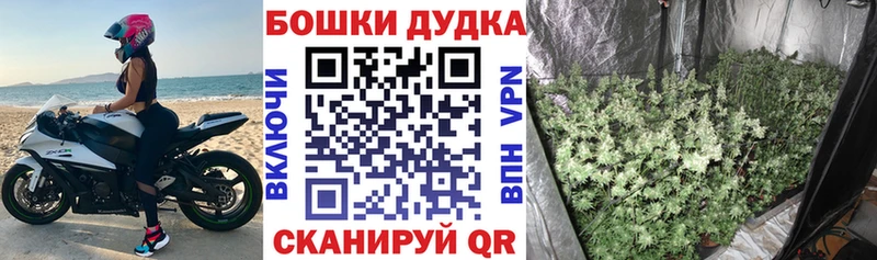 Марихуана гибрид  Купить  Жуковка 